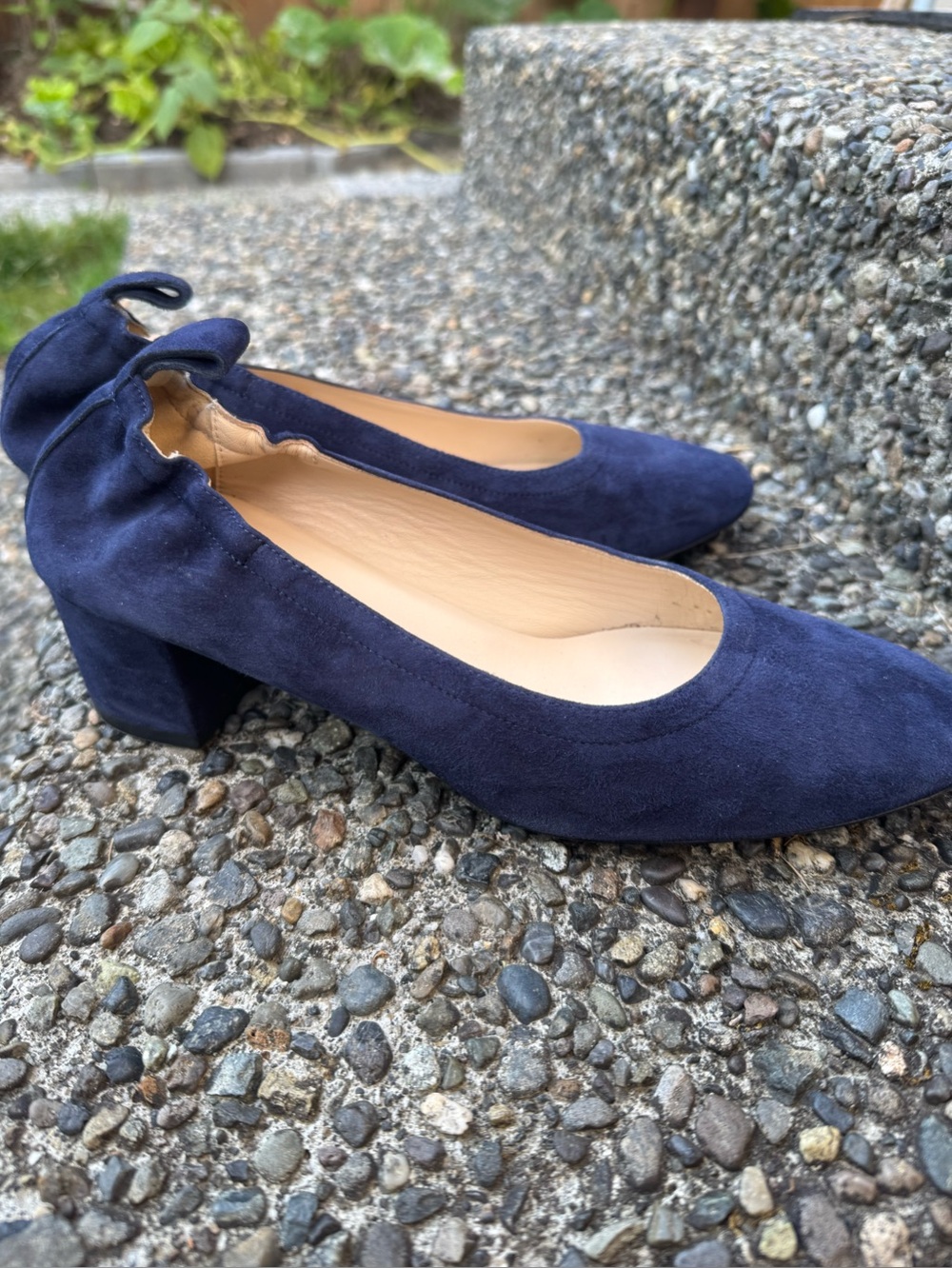 Everlane Navy Suede Mid Block Heel Pumps
